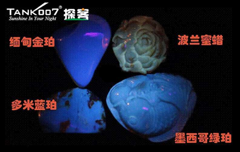 網上用紫光手電鑒定琥珀的帖子這么多，哪個是真假？